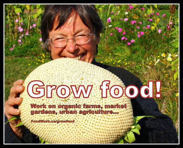 Jobs, internships, volunteering, self employment in local and sustainable food and agriculture. www.FoodWork.ca.