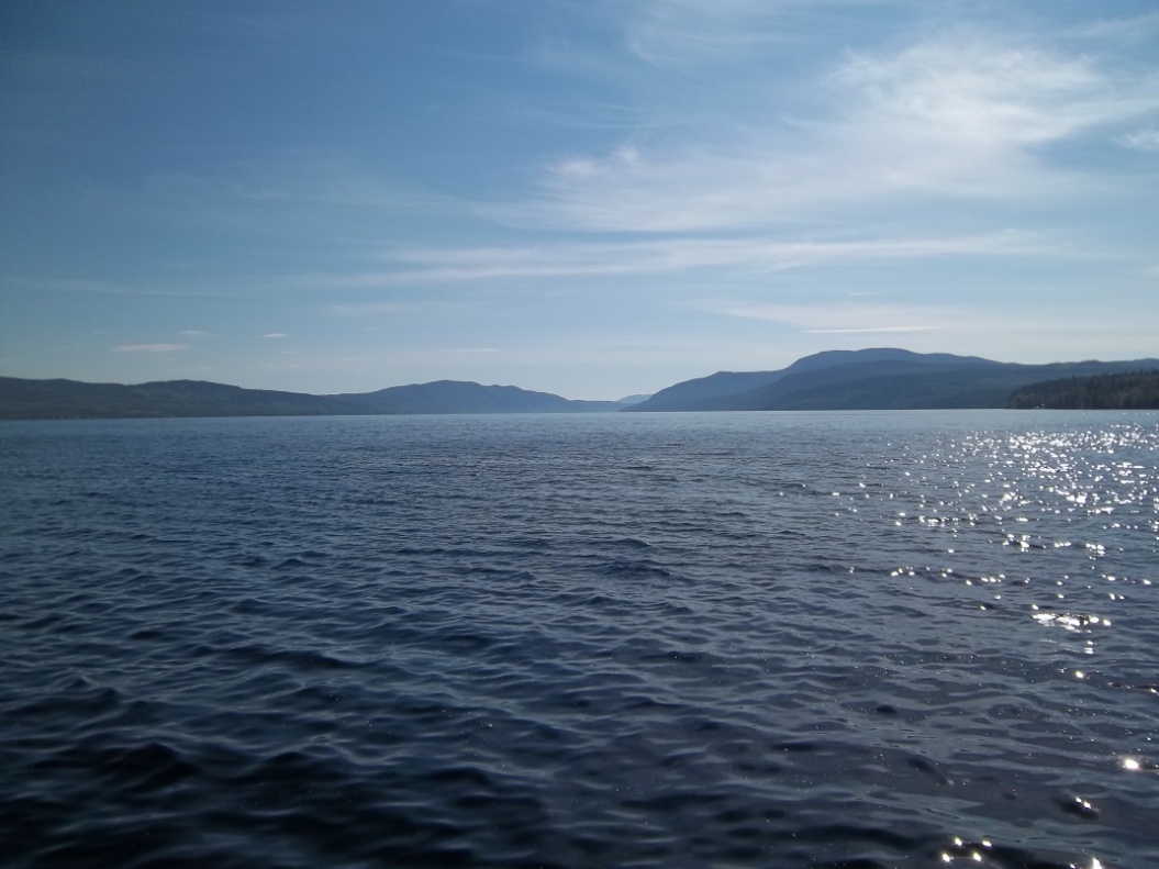 Eco Real Estate Listing · 138.5 Acre Organic Range with New Home and