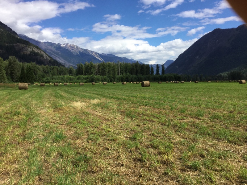 40 acres of fertile farmland for sale, Pemberton, BC, Canada, Canada
