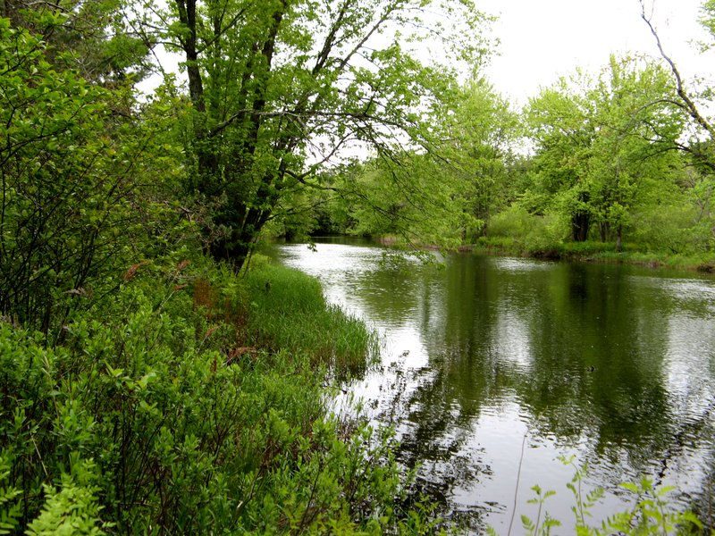 Green homes for sale, organic farms for sale EcoProperty.ca