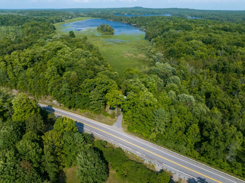 Waterfront home and property for sale, lake front, nature and wetlands